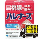 ☆メール便・送料無料☆【第3類医薬品】ハレナース(9包) 代引き不可(otc-02281-4987072024324)