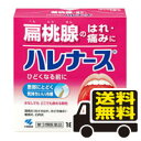 ☆メール便・送料無料☆数量限定!【第3類医薬品】ハレナース(18包) 代引き不可