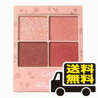 ☆メール便・送料無料☆キャンメイク シルキースフレアイズ(マットタイプ)M02 チャイブリック(4.4g) 代引き不可