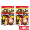 ●2個セット・メール便・送料無料●【第2類医薬品】フェイタスZα ジクサス 温感(14枚入)(セルフメディケーション税制対象)代引き不可