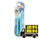 ☆メール便・送料無料☆ピジョン 仕上げ専用 全体みがき (2本入) 代引き不可