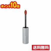 ☆メール便・ポイント10倍・送料無料☆コーセー エスプリーク シフォンマット ルージュ OR210 オレンジ系(6g)代引き不可