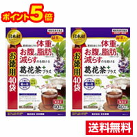 商品情報■　商品説明機能性表示食品「葛花茶プラス」の40袋入りお徳用サイズ。 日本初！体重やお腹の脂肪を減らすのを助けるティーバッグ形態の緑茶配合葛花茶の機能性表示食品です。ノンカフェイン。 ※リニューアルに伴い、パッケージ内容など予告なく変更する場合がございます。 予めご了承ください。■　内容量40袋入り×2■　原材料緑茶（国産）、乾燥葛花■　使用上の注意●必ず熱湯を用いて抽出してください。 ●熱湯の取り扱いには十分ご注意ください。 ●抽出したお茶は保存せず、できるだけ早くお飲みください。 ●一度使用したティーバッグの再利用は控えてください。 ●食物アレルギーのある方は原材料をご確認の上、お召し上がりください。 ●開封後は、お早めにお召し上がりください。また、品質保持のため、チャックをしっかり閉めた状態で保存してください。 ●本品は天産物を使用しておりますので、収穫時期などにより色・風味のばらつきがございますが、品質に問題はありません。 ●熱湯での抽出後、原料由来の浮遊物が生じることがありますが、品質に問題はありません。 ●乳幼児の手の届かないところに保存してください。 ●本品は、開発当初より、配合内容からデザイン検討に至るまで、栄養管理士が監修した商品です。 ●本品は、疾病の診断、治療、予防を目的としたものではありません。 ●本品は、疾病に罹患している者、未成年者、妊産婦（妊娠を計画している者を含む。）及び授乳婦を対象に開発された食品ではありません。 ●疾病に罹患している場合は医師に、医薬品を服用している場合は医師、薬剤師に相談してください。 ●体調に異変を感じた際は、速やかに摂取を中止し、医師に相談してください。 ●本品は、事業者の責任において特定の保健の目的が期待できる旨を表示するものとして、消費者庁長官に届出されたものです。ただし、特定保健用食品と異なり、消費者庁長官による個別審査を受けたものではありません。 食生活は、主食、主菜、副菜を基本に、食事のバランスを。■　商品区分 機能性表示食品■　販売元株式会社 日本薬健■　広告文責株式会社ププレひまわり(084-920-2250)