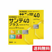 ●2個セット・メール便・送料無料●【第3類医薬品】参天製薬 サンテ40プラス(12ml)(セルフメディケーション税制対象)代引き不可