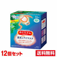 ■12個セット・送料無料■数量限定！ 花王 めぐりズム 蒸気でホットアイマスク 森林浴の香り 12枚入【AA】