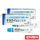 ●2個セット・メール便・送料無料●数量限定!【第2類医薬品】テラマイシン軟膏a(6g)代引き不可
