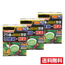 ■3個セット・送料無料■数量限定!金の青汁 25種の純国産野菜 乳酸菌×酵素 210g(3.5g×60パック)日本薬健 野菜不足【AA】(4)