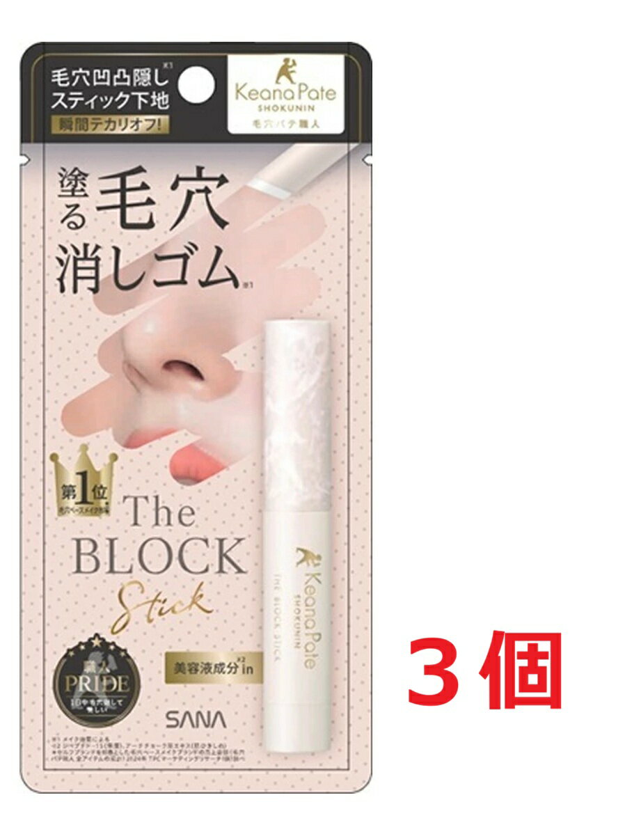 ●3個セット・メール便●数量限定! サナ 毛穴パテ職人 毛穴隠しスティック