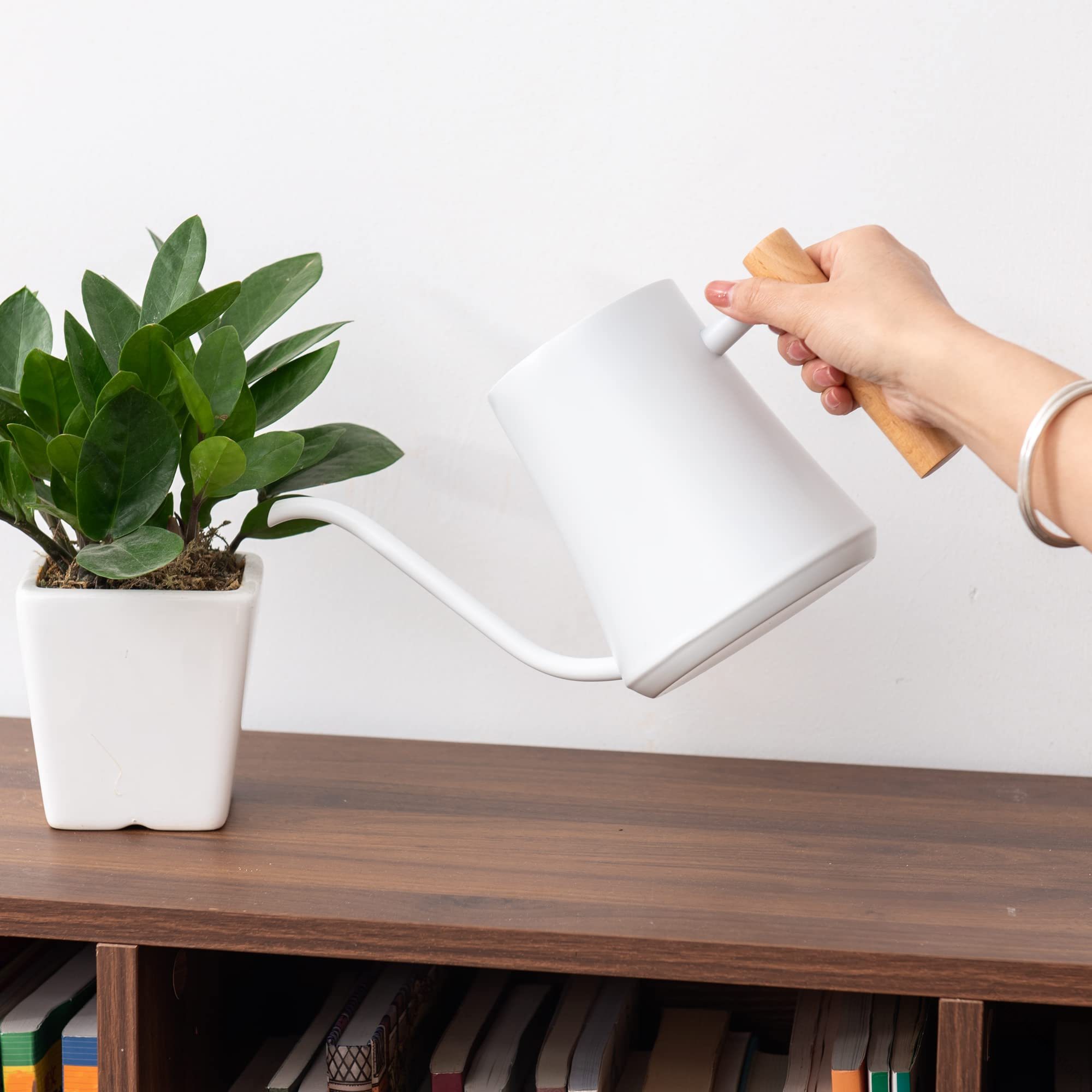 ガーデニングが楽しくなるステンレス製1000ml軽量ジョウロ 自然素材の欅ハンドルで...