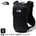 【5%OFF】ザ・ノース・フェイス アウトドア THE NORTH FACE アイビス 10 国内正規品 Ibis 10 24SS バッグ リュックサック デイ...