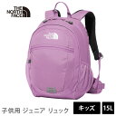 ラスト1点 【10%OFF】ザ・ノース・フェイス アウトドア THE NORTH FACE バッグ リュックサック キッズ スモールデイ 国内正規品 K SMA...