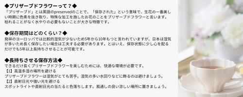 花ギフトプレゼント祝い女性送料無料税込み誕生日記念日結婚記念日敬老の日御供え和モダン和風【苔玉風アレンジメント】退職定年退職新築祝い贈り物お礼還暦祝いプリザーブドフラワーフラワーアレンジメント母女友達妻両親お返し花瓶