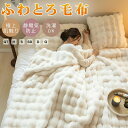 【SNSで話題沸騰】毛布 ふわとろ毛布 もこもこ毛布 ブランケット モコモコ とろとろ ふわふわ 毛布 ミニ ハーフシングル セミダブル ダブル クイーン ふわ...