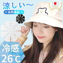 \在庫一掃セール★クーポンのご利用で 1,680円/ 冷却シート 帽子用 ひんやりグッズ スポーツ 熱中症対策グッズ 帽子 接触冷感 熱中症対策 頭冷やす PCM 28度で自然氷結 持続冷感 保冷剤 暑さ対策 頭部冷却 頭 保冷剤 帽子 ハイキング キャンプ 山登り 旅行 通勤 夏休み