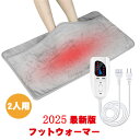 フットウォーマー 電気足温器 ホットマット 6段階温度調整 電気座布団 足元暖房 安全 省エネ 在宅勤務 テレワーク 柔らかい ぽかぽか 無地 足元 あったかグ...