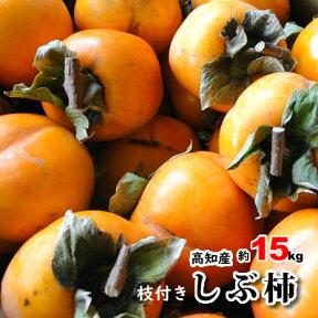 高知産　しぶ柿　渋柿　シブ柿　大和柿　約15キロ　干し柿用　つるし柿用　さらし柿用　北海道・沖縄は別途送料必要です。