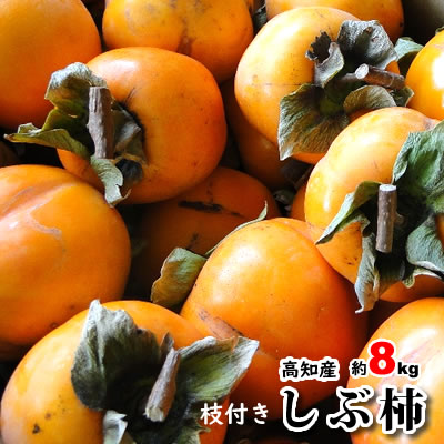 タイムセール高知産　渋柿 シブ柿 しぶ柿　大和柿 約8kg　干し柿用　つるし柿用　さらし柿用　北海道・沖縄は別途送料必要です。のサムネイル