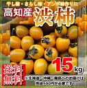 【送料無料】高知産・渋柿吊るし柿約15kg・北海道・沖縄は送料500円感謝祭、シブ柿・しぶ柿・干し柿・アンポ柿干し柿用渋柿【RCP】10P05Dec15