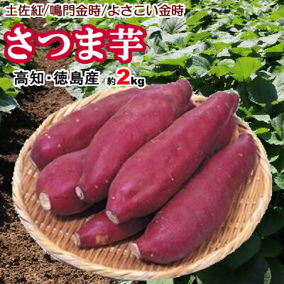 全国お取り寄せグルメ徳島野菜・きのこNo.10