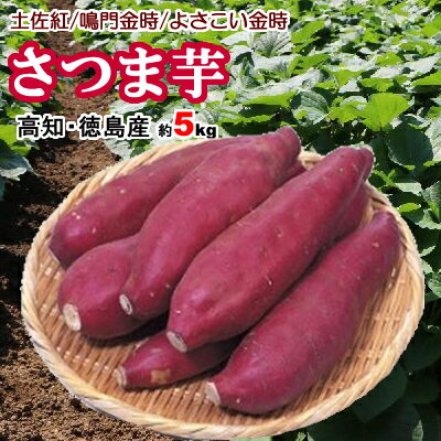 【送料無料】高知、徳島産さつま芋約5kg土佐紅 よさこい金時サツマイモ北海道1000円沖縄1500円別途送料ご負担下さい。