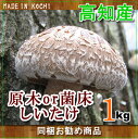 mYE1kg(ؖ͋ۏ)10P25Oct14