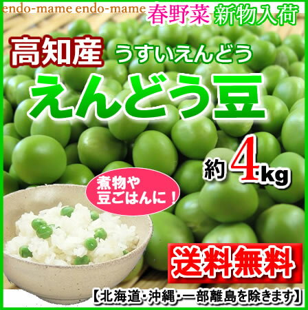 【送料無料】・高知産・えんどう豆・うすい実・グリーンピース約4kg送料北海道1000円沖縄1500円【RCP】..