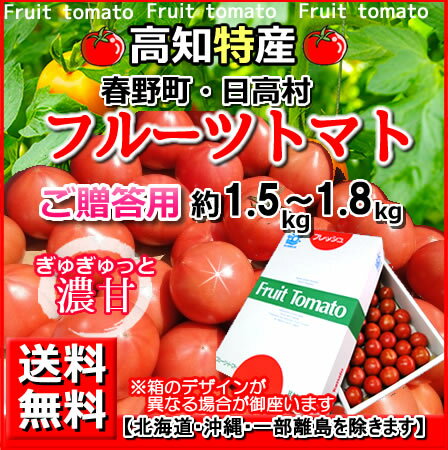 送料無料・高知産フルーツトマト1.5k〜1.8kg贈答用化粧箱・北海道1000円・沖縄送料1500円春野日高徳谷諸木トマトサミット【楽ギフ_包装】【楽ギフ_のし】【楽ギフ_のし宛書】【楽ギフ_メッセ入力】【RCP】05P18Jun16