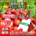 送料無料・高知産フルーツトマト1.5k〜1.8kg贈答用化粧箱・北海道1000円・沖縄送料1500円春野日高徳谷諸木トマトサミット05P18Jun16