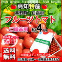 送料無料・高知産フルーツトマト約4kgご贈答用小粒厳選北海道1000円・沖縄送料1500円高知トマト ...