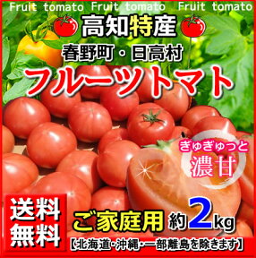 送料無料・高知産フルーツトマト約2kgご家庭用北海道1000円沖縄送料1500円トマトサミット母の日父の日05P07Feb16