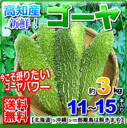 【送料無料】高知産ゴーヤニガウリ苦瓜約3kg11本〜15本北海道沖縄は別途送料必要ですのサムネイル