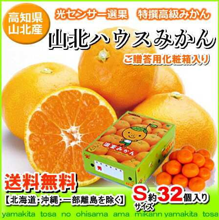 高知産山北ハウスミカンSサイズ32個入りギフト北海道1000円・沖縄は送料1500円05P03Sep16【オススメ】 高知産山北ハウスミカンSサイズ32個入りギフト北海道1000円・沖縄は送料1500円05P03Sep16【オススメ】