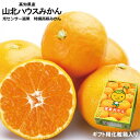 高知産山北ハウスミカンSサイズ32個入りギフト北海道1000円・沖縄は送料1500円05P03Sep16【オススメ】