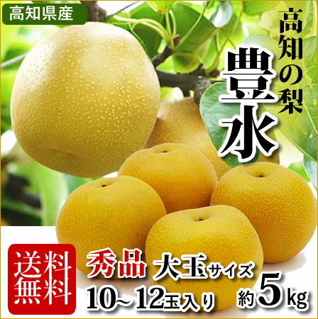 【送料無料】高知・徳島産 大玉豊水梨又は秋月(あきづき)梨 5kg(10玉〜12玉前後入り)和梨北海道1000円・沖縄送料1500円05P03Sep16