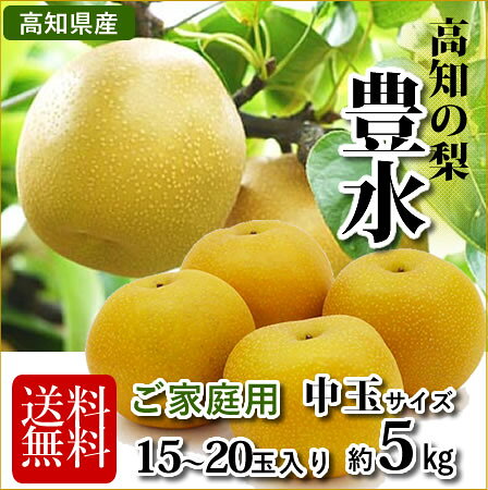 【送料無料】高知・徳島産 豊水梨家庭用5kg(15玉〜20玉)北海道1000円・沖縄送料1500円【送料無料】高知・徳島産 豊水梨家庭用5kg(15玉〜20玉)