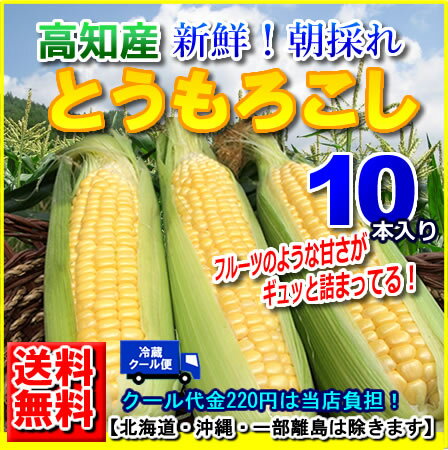 6月より発送予定 高知産とうもろこし・ゴールドラッシュ・味来ミライ10本入り約3kg北海道1000円・沖縄は送料1500円