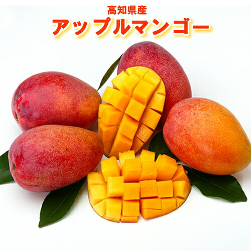 乐天商城 - 高知　完熟土佐マンゴーLサイズ2個入北海道1000円・沖縄送料1500円【お中元に】【楽ギフ_包装】【楽ギフ_のし】【楽ギフ_のし宛書】【楽ギフ_メッセ入力】【RCP】【マラソン201405_送料無料】】【オススメ】10P19Jun15