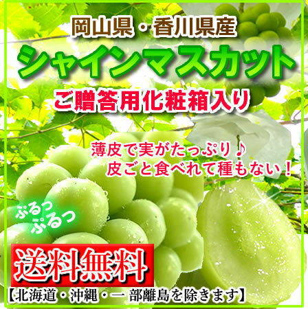 期間限定特価【送料無料】岡山、香川産シャインマスカット1房600g以上種無しブドウ、北海道1000円・沖縄は送料1500円05P03Sep16