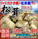 【送料無料】アメリカ・カナダ産、松茸約500g入りまつたけ マツタケ秋の味覚・サマツ北海道・沖縄は送料500円05P28Sep16