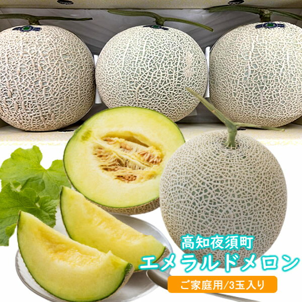 限定品!!高知夜須町産・エメラルドメロン3玉入り特別価格
