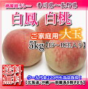 【送料無料】香川山梨長野産桃約5キロ15から18玉入り【楽フェス_ポイント10倍】
