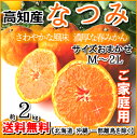 【送料無料】高知山北産なつみ南津