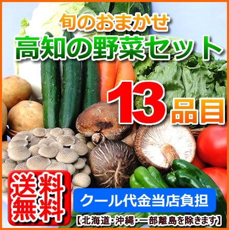 【送料無料】国内産野菜セット13品目詰め合わせ北海道沖縄は別途送料必要ですのサムネイル