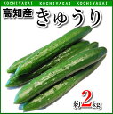 クール便について 夏季や高温時期を問わずクール便(220円)選択をおすすめします。クール便不使用で生じた商品劣化等につきましては対応出来ません。又大型野菜（白菜・キャベツ・大根等）大型野菜と同梱配送のクール便は660円となります。 内容量 1袋に約2kg・18本〜20本入り 送料 地域により異なります 保存方法 冷蔵庫にて保管下さい。 賞味期限 生鮮品の為 お早めにお召し上がり下さい 商品説明 夏〜秋は露地栽培 冬〜春はハウス栽培の 新鮮なきゅうりをお届けします。 サラダや酢の物・自家製漬物に 上記の商品は、送料別途必要となります。 北海道・沖縄 東北・関東・信越・北陸・中部 関西・中国・九州 四国 1500円 800円 600円 400円 ご注文時には楽天サーバーより、送料が含まれてないご注文承諾メールが送信されますが、 後程当店より送料を加算したご注文承諾メールを送信致します。