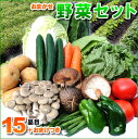 【送料無料】国内産野菜セット15品目詰め合わせ北海道沖縄は別...