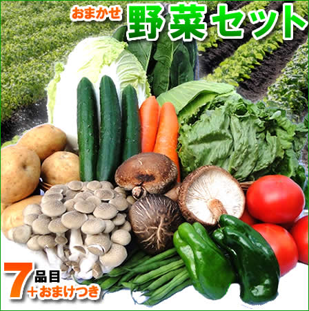 【送料無料】国内産野菜セット7品目詰め合わせ北海道1000円沖縄1500円送料ご負担頂きます。のサムネイル