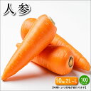 国産 訳あり 人参 人参ジュース 2L~Lサイズ(指定不可) 約10キロ 時期により産地は変わります(北海道・徳島県・長崎県)北海道・沖縄別途送料