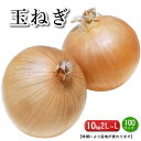 国産 玉ねぎ 約10キロ 2L~Lサイズ 産地は時期により変わります(北海道・香川産・愛媛産)北海道・沖縄別途送料