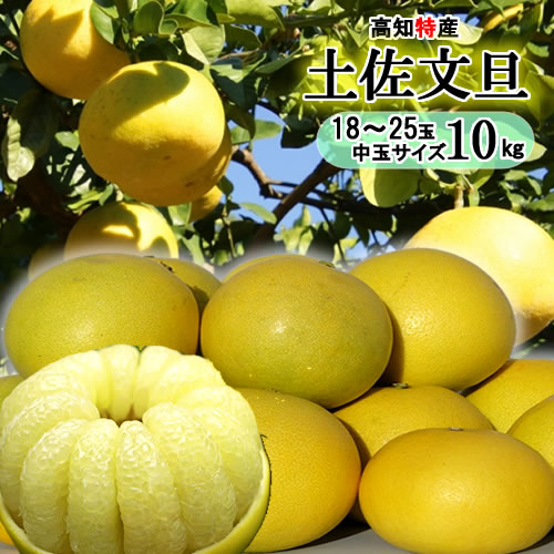 楽天市場】土佐文旦 10kg 2lの通販 楽天市場】土佐文旦 10kg 2lの通販