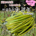 高知産ゆでイタドリ約3kg いたどり イタズリ